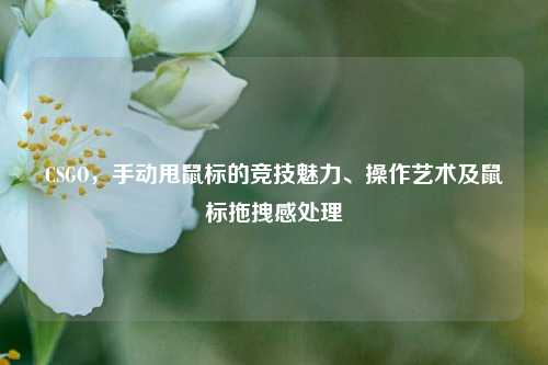 CSGO,手动甩鼠标的竞技魅力、操作艺术及鼠标拖拽感处理
