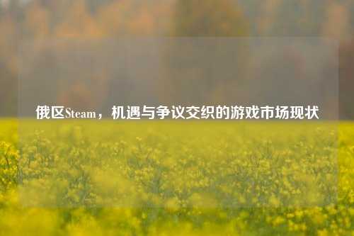 俄区Steam,机遇与争议交织的游戏市场现状