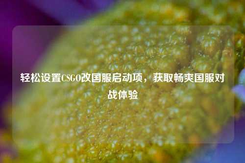 轻松设置CSGO改国服启动项，获取畅爽国服对战体验