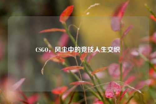 CSGO,风尘中的竞技人生交织
