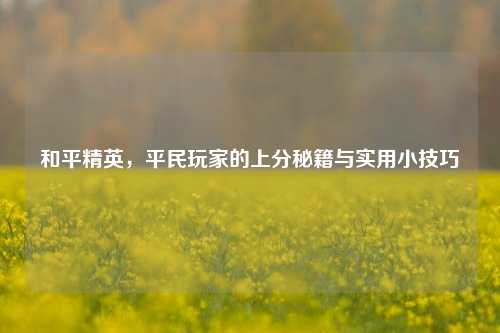 和平精英，平民玩家的上分秘籍与实用小技巧