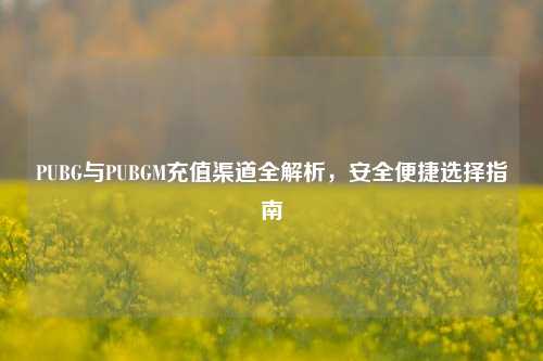 PUBG与PUBGM充值渠道全解析，安全便捷选择指南