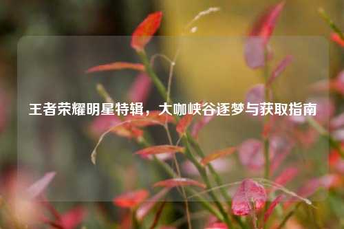 王者荣耀明星特辑，大咖峡谷逐梦与获取指南