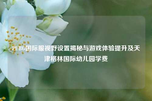 PUBG国际服视野设置揭秘与游戏体验提升及天津格林国际幼儿园学费