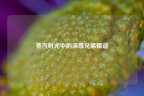 蒸汽时光中的深厚兄弟情谊