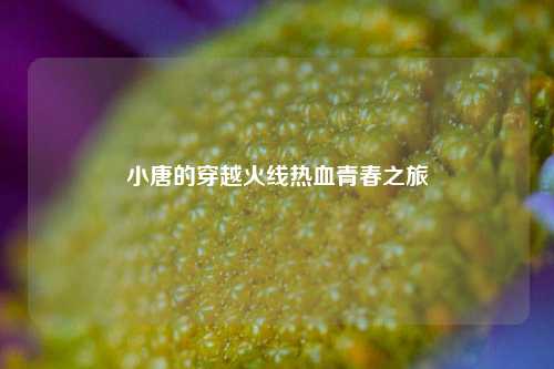 小唐的穿越火线热血青春之旅