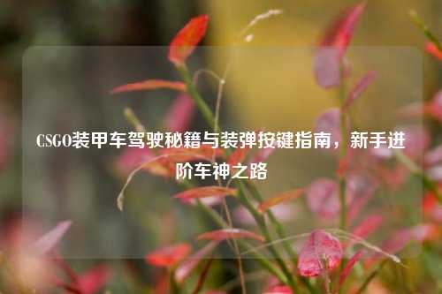 CSGO装甲车驾驶秘籍与装弹按键指南,新手进阶车神之路