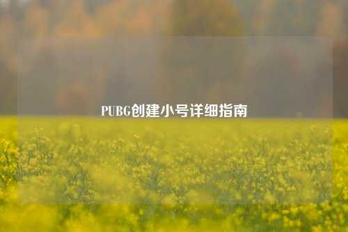 PUBG创建小号详细指南