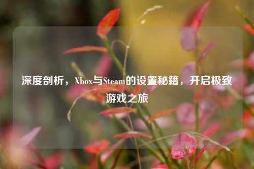 深度剖析,Xbox与Steam的设置秘籍,开启极致游戏之旅