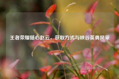 王者荣耀随心赵云，获取方式与峡谷英勇风采
