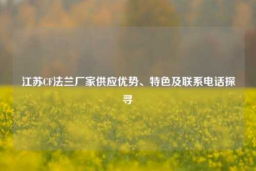 江苏CF法兰厂家供应优势、特色及联系电话探寻