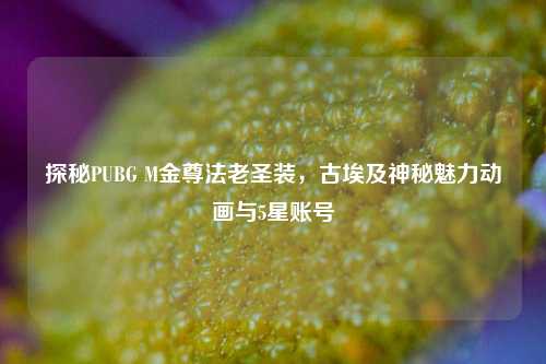 探秘PUBG M金尊法老圣装，古埃及神秘魅力动画与5星账号