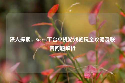 深入探索，Steam平台单机游戏畅玩全攻略及联网问题解析