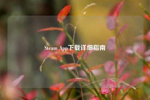 Steam App下载详细指南