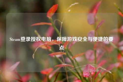 Steam登录授权电脑，保障游戏安全与便捷的要点
