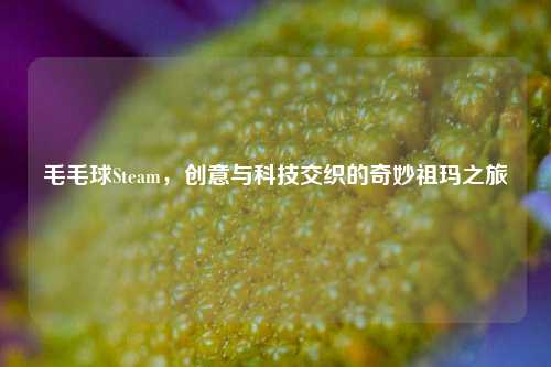 毛毛球Steam，创意与科技交织的奇妙祖玛之旅