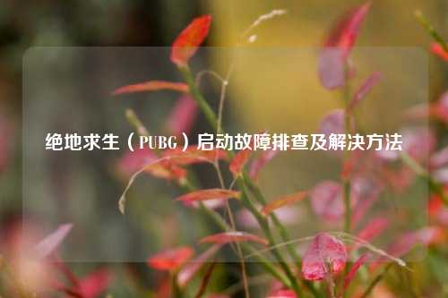 绝地求生(PUBG)启动故障排查及解决方法