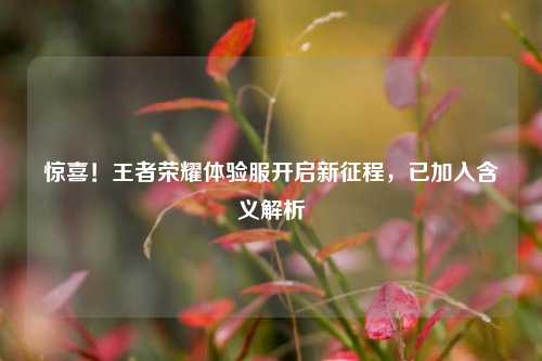 惊喜！王者荣耀体验服开启新征程，已加入含义解析
