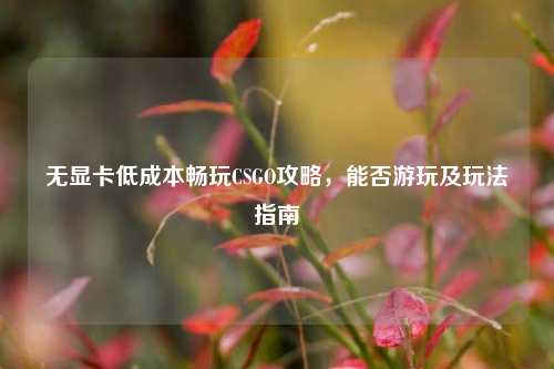 无显卡低成本畅玩CSGO攻略，能否游玩及玩法指南