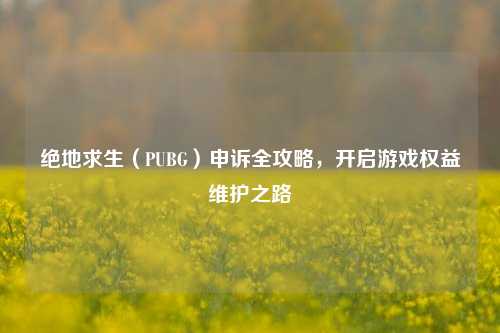 绝地求生（PUBG）申诉全攻略，开启游戏权益维护之路