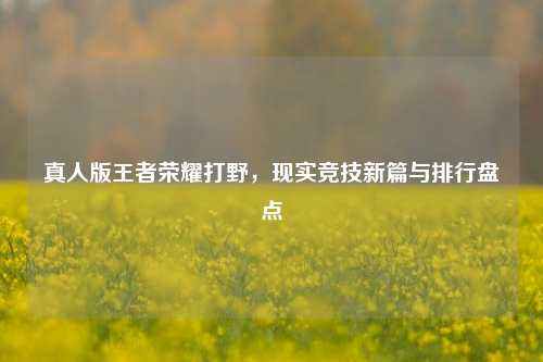 真人版王者荣耀打野，现实竞技新篇与排行盘点