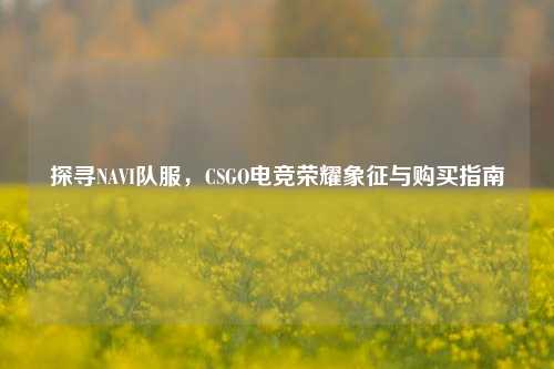 探寻NAVI队服,CSGO电竞荣耀象征与购买指南