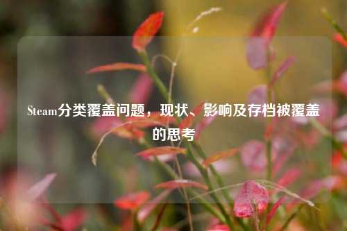 Steam分类覆盖问题，现状、影响及存档被覆盖的思考