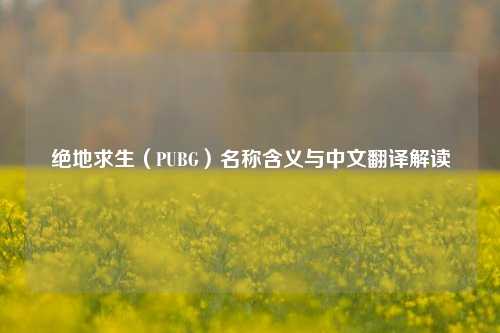 绝地求生(PUBG)名称含义与中文翻译解读