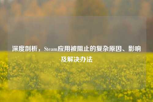 深度剖析，Steam应用被阻止的复杂原因、影响及解决办法