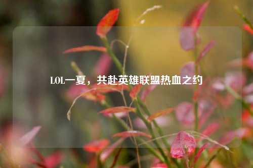 LOL一夏，共赴英雄联盟热血之约