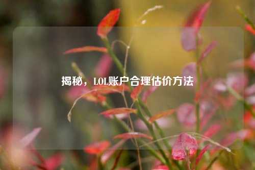 揭秘，LOL账户合理估价方法