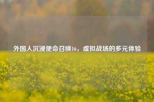 外国人沉浸使命召唤16，虚拟战场的多元体验
