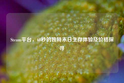 Steam平台，60秒的独特末日生存体验及价格探寻
