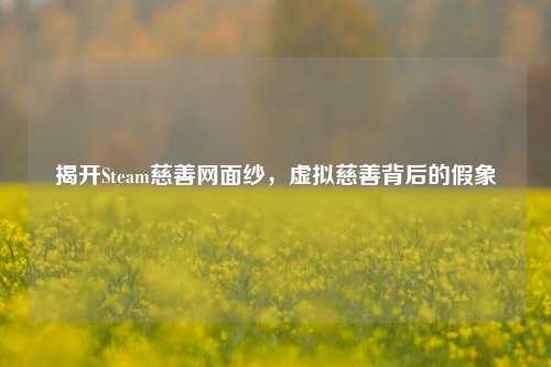 揭开Steam慈善网面纱,虚拟慈善背后的假象