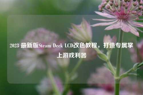 2023 最新版Steam Deck LCD改色教程,打造专属掌上游戏利器