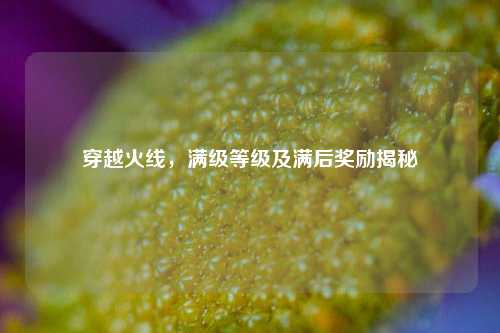 穿越火线,满级等级及满后奖励揭秘