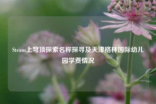Steam上穹顶探索名称探寻及天津格林国际幼儿园学费情况