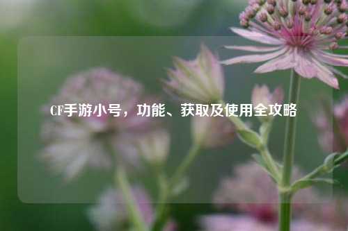 CF手游小号，功能、获取及使用全攻略