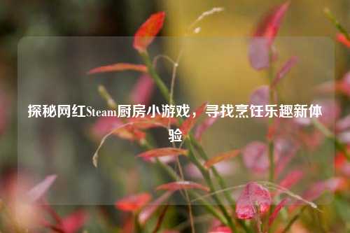 探秘网红Steam厨房小游戏，寻找烹饪乐趣新体验