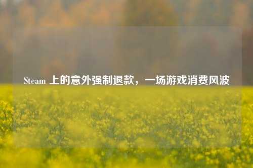 Steam 上的意外强制退款，一场游戏消费风波