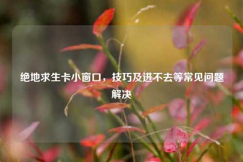 绝地求生卡小窗口，技巧及进不去等常见问题解决
