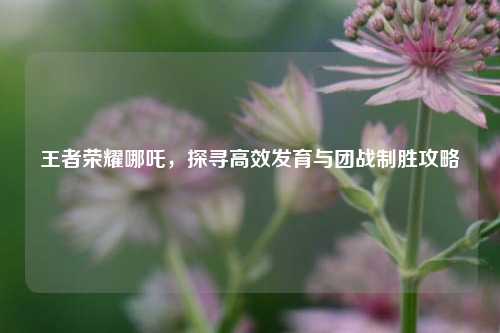 王者荣耀哪吒，探寻高效发育与团战制胜攻略