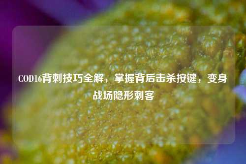COD16背刺技巧全解，掌握背后击杀按键，变身战场隐形刺客