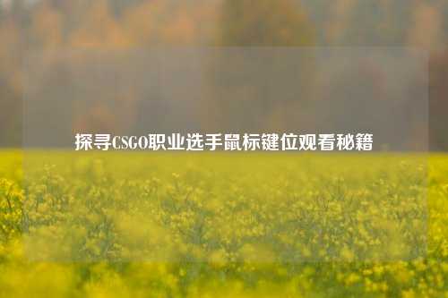 探寻CSGO职业选手鼠标键位观看秘籍
