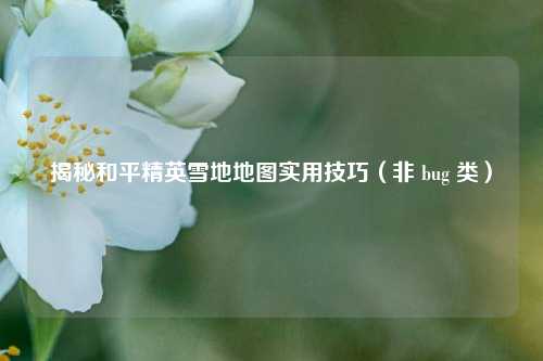 揭秘和平精英雪地地图实用技巧(非 bug 类)