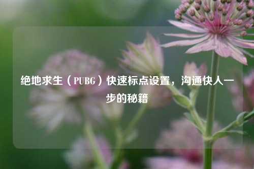 绝地求生（PUBG）快速标点设置，沟通快人一步的秘籍