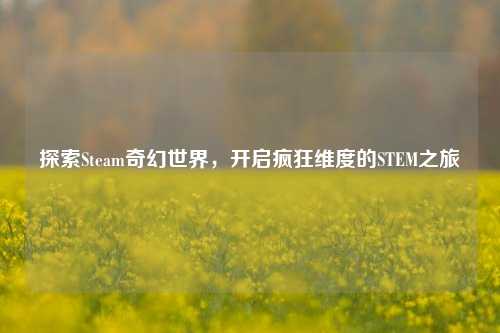 探索Steam奇幻世界，开启疯狂维度的STEM之旅