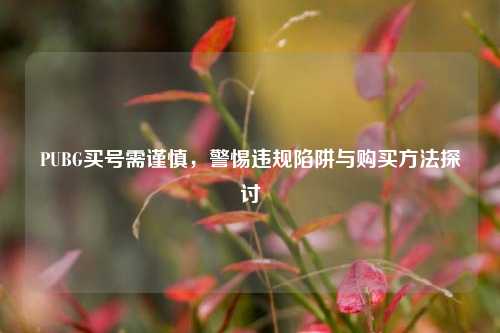 PUBG买号需谨慎，警惕违规陷阱与购买方法探讨