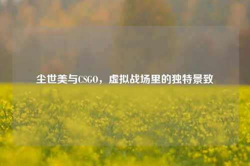 尘世美与CSGO,虚拟战场里的独特景致