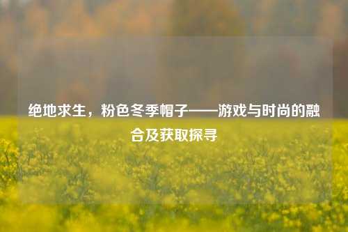 绝地求生，粉色冬季帽子——游戏与时尚的融合及获取探寻